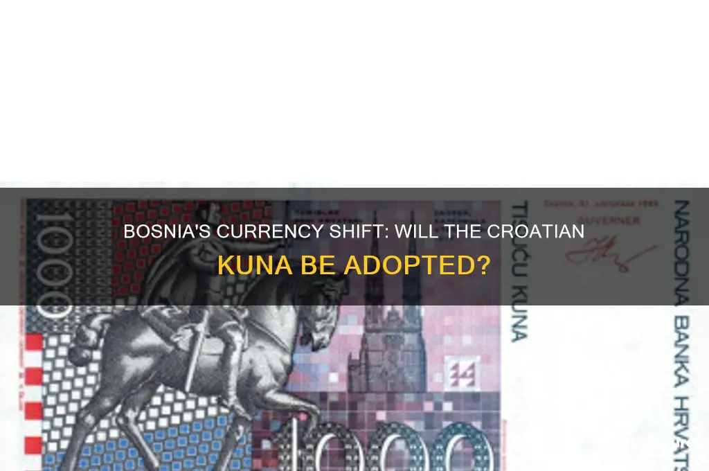 will bosnia take croatian kuna
