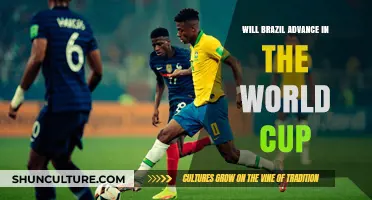 Can Brazil's Squad Secure a Spot in the World Cup Knockout Stages?