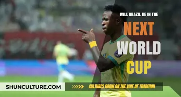 Brazil's 2026 World Cup Qualification: Chances, Challenges, and Expectations