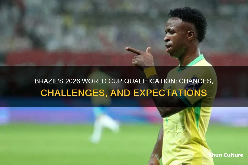 will brazil be in the next world cup