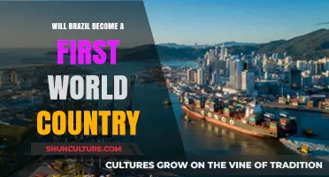 Brazil's Economic Rise: Can It Achieve First World Status?