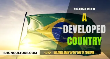 Brazil's Development Journey: Challenges and Prospects for a Developed Future