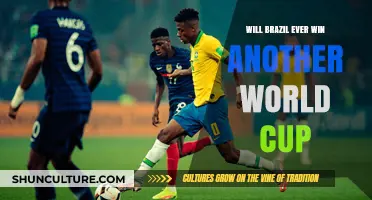 Can Brazil's Soccer Legacy Secure Another World Cup Victory?