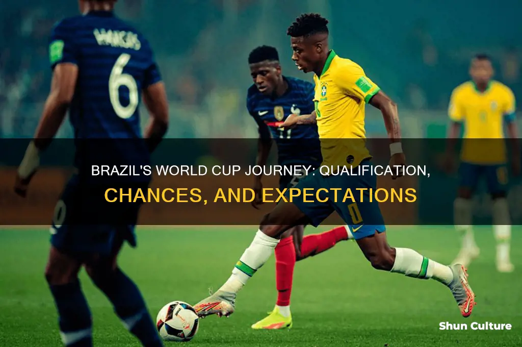 will brazil go to the world cup