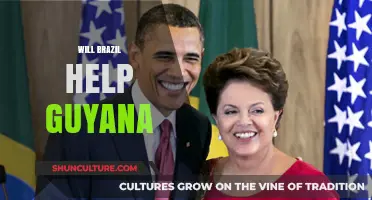 Brazil's Role in Guyana's Future: Cooperation or Competition?
