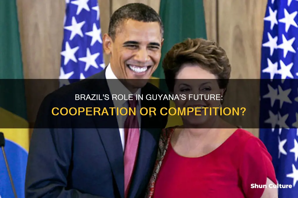 will brazil help guyana