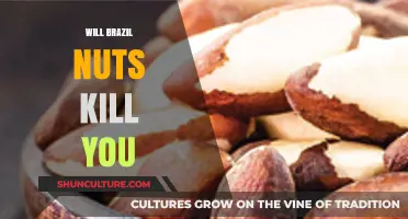 Brazil Nuts: Debunking the Myth of Their Lethal Reputation
