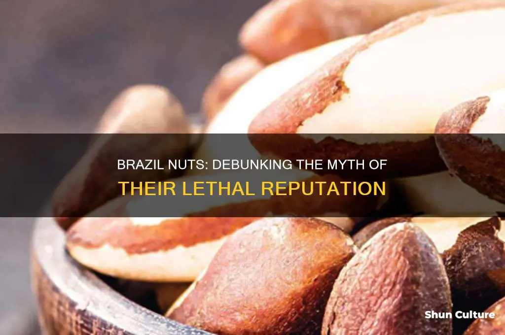 will brazil nuts kill you