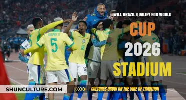 Brazil's Road to World Cup 2026: Stadium Preparations and Qualification Hopes