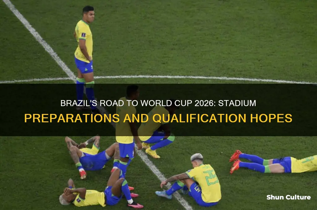 will brazil qualify for world cup 2026 stadium