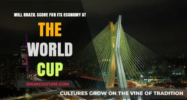 Brazil’s World Cup Impact: Economic Goals or Missed Opportunities?