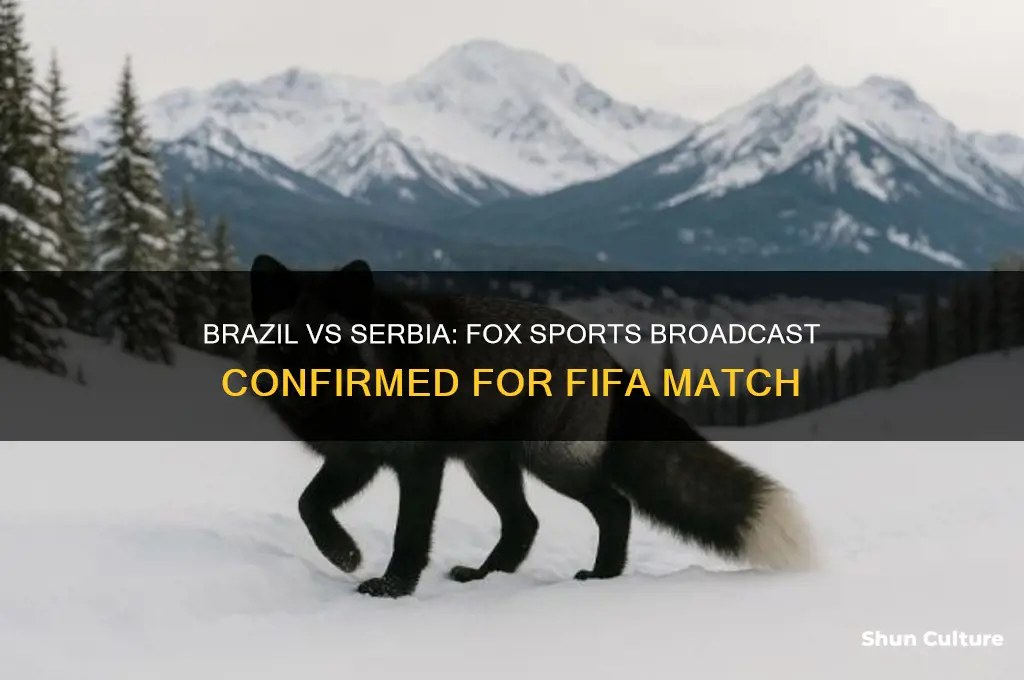 will brazil vs serbia be on fox