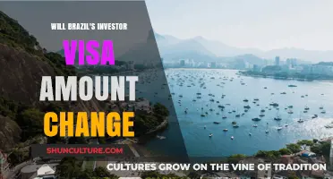 Brazil's Investor Visa: Potential Amount Changes and What It Means