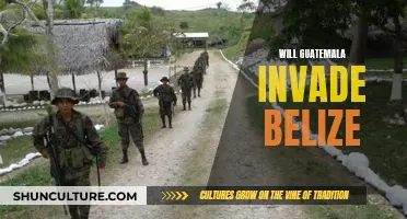 Guatemala-Belize Border: Invasion Risk?