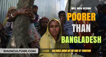 India vs. Bangladesh: Economic Trajectories and Future Poverty Prospects