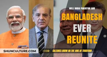 Can India, Pakistan, and Bangladesh Reunite? Exploring Historical Possibilities