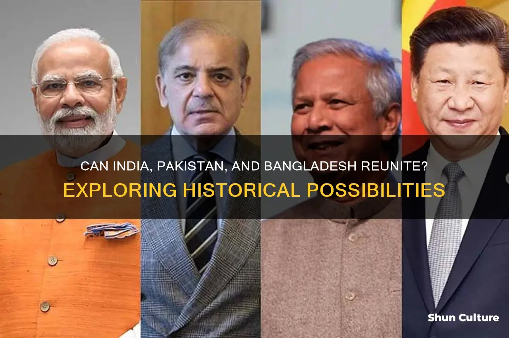 will india pakistan and bangladesh ever reunite