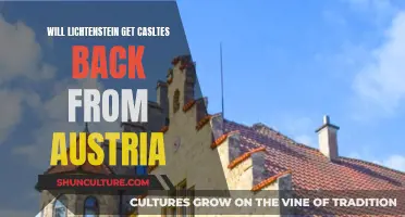 Lichtenstein's Quest: Reclaiming Castles from Austria