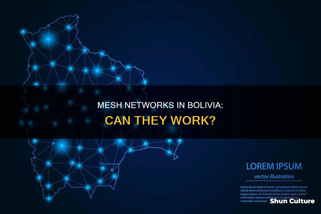 will mesh network work in bolivia