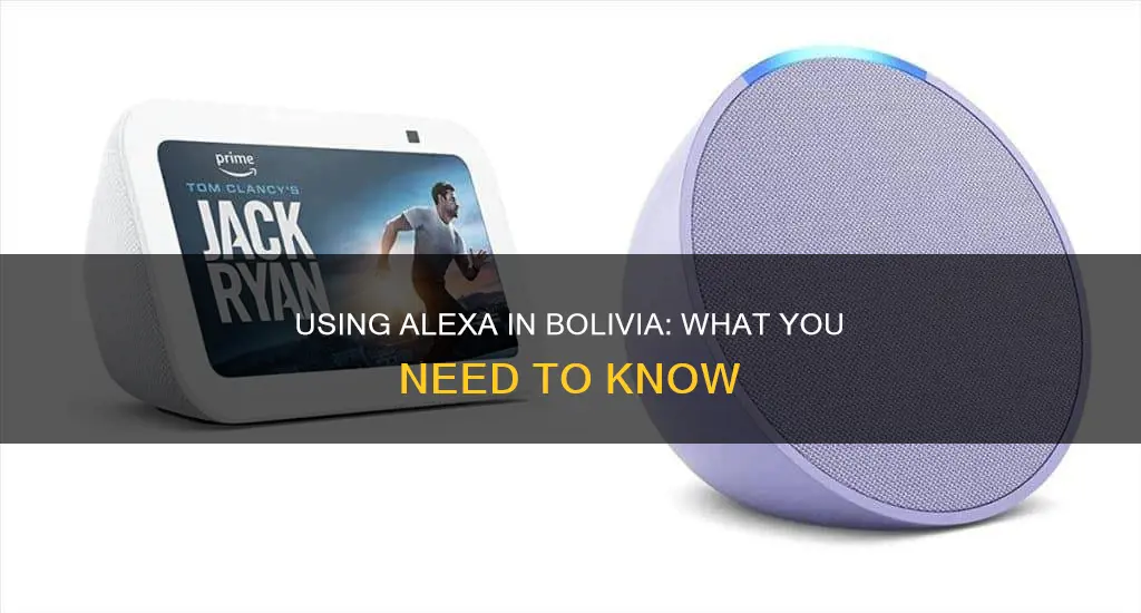 will my alexa work in bolivia