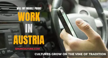 Mobile Phone Usage in Austria: What You Need to Know