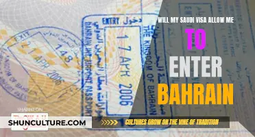 Saudi Visa: Entry to Bahrain Explained