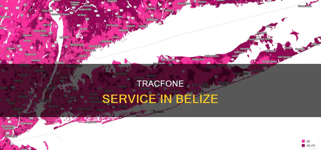 will my tracfone work in belize