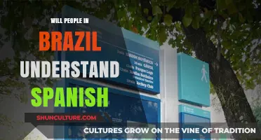 Can Brazilians Understand Spanish? Exploring Language Similarities and Differences