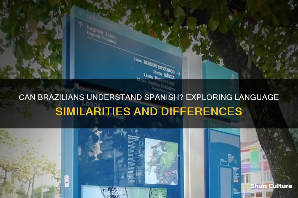 will people in brazil understand spanish