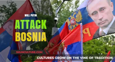 Putin's Next Move: Potential Threats to Bosnia's Stability Explored