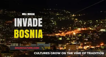 Russia's Ambitions: Potential Invasion of Bosnia and Regional Implications
