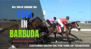 Caribana's Return: Barbuda's Festival Back This Year