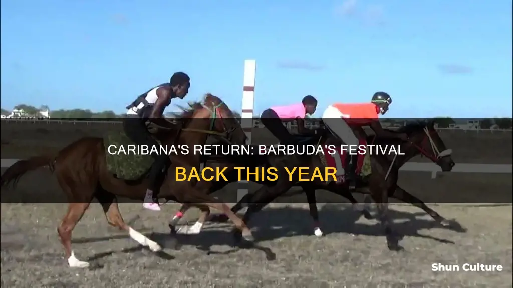 will ther be caribana this year in barbuda