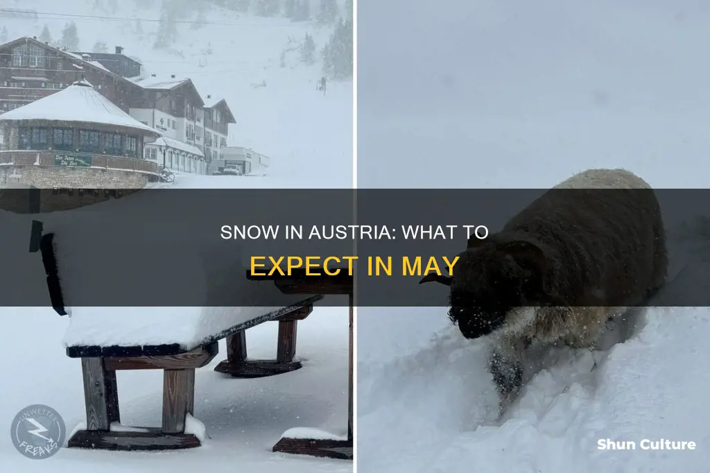 will there be snow in austria in may