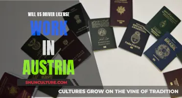 Can US Driver's Licenses Be Used in Austria?