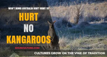 Australia's Wildlife: Why It's Safe From Bombs