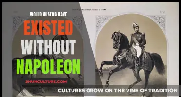 Napoleon's Role in Austrian History: A Complex Legacy