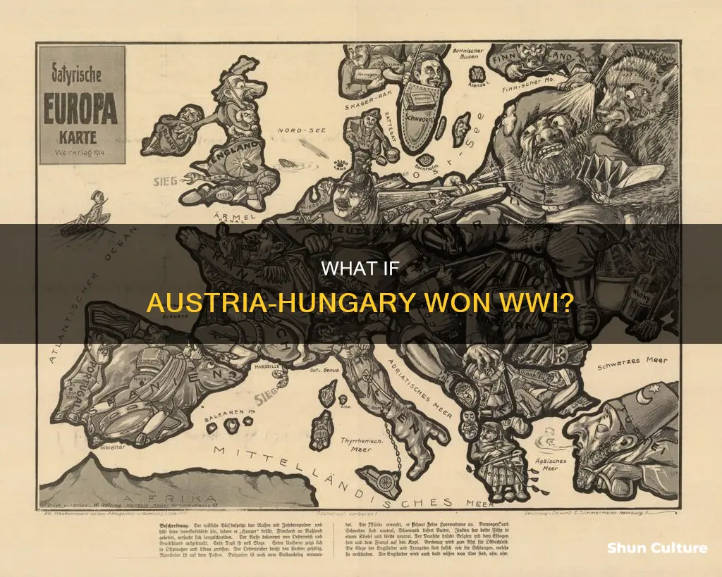 would austria hungary collapse if they won ww1