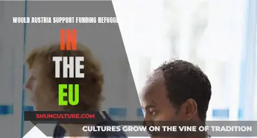 Austria's Stance on Funding Refugees in the EU