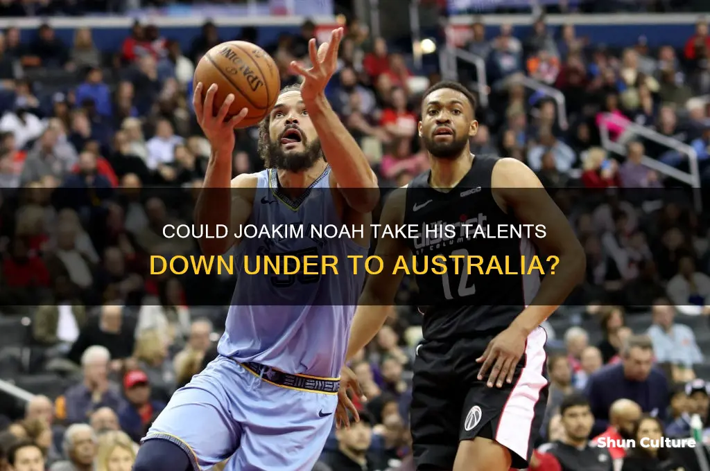would joakim noah consider going to australia to play ball