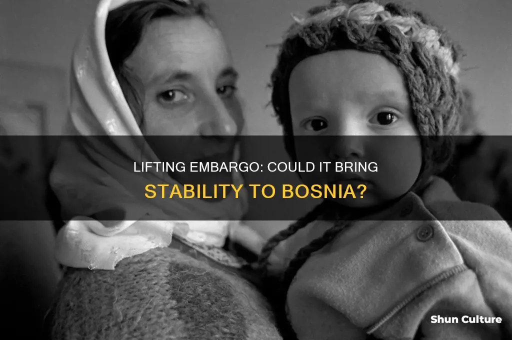 would lifting embargo help bosnia washington post